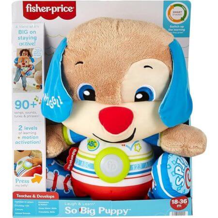 Fisher Price Laugh & Learn So Big - ALPYN Toys and Games