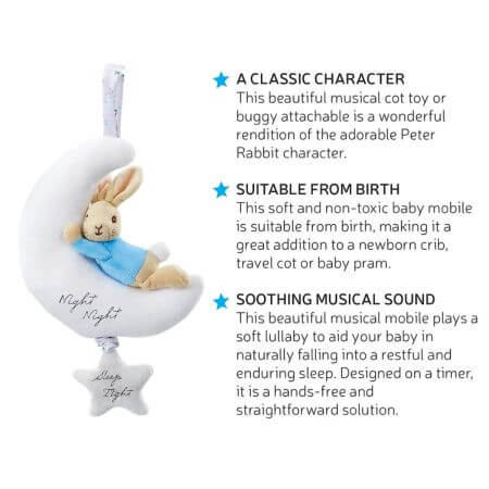 Night Night Musical Peter Rabbit - ALPYN Toys and Games