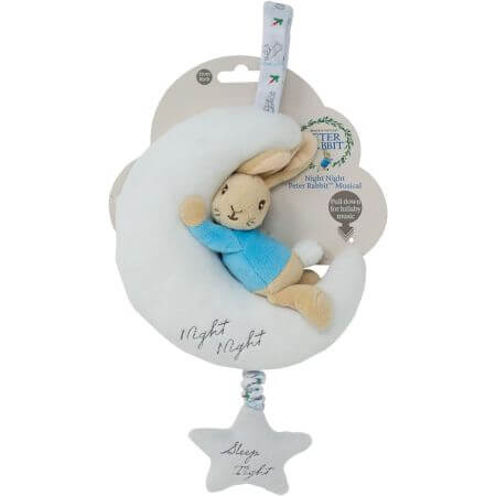 Night Night Musical Peter Rabbit - ALPYN Toys and Games