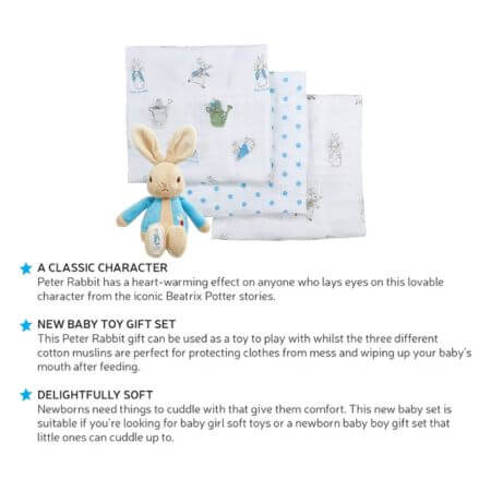 Peter Rabbit Soft Toy & Muslin Gift Set - ALPYN Toys and Games