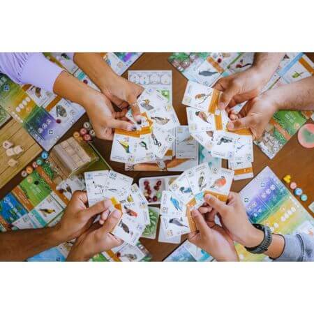 Wingspan: Asia | Board Game | Ages 14+ | 1-7 Players - ALPYN Toys and Games