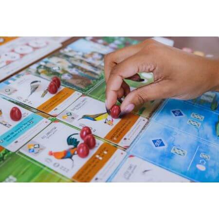 Wingspan: Asia | Board Game | Ages 14+ | 1-7 Players - ALPYN Toys and Games