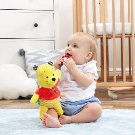 Winnie the Pooh A New Adventure Activity Toy - ALPYN Toys and Games